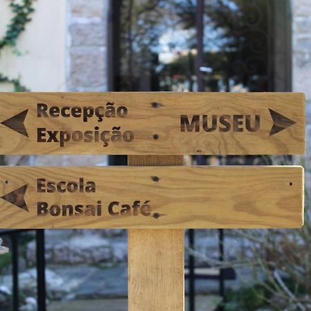 Zen Guest House - Museu Do Bonsai Σίντρα Εξωτερικό φωτογραφία