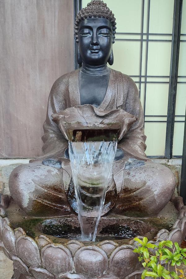 Zen Guest House - Museu Do Bonsai Σίντρα Εξωτερικό φωτογραφία